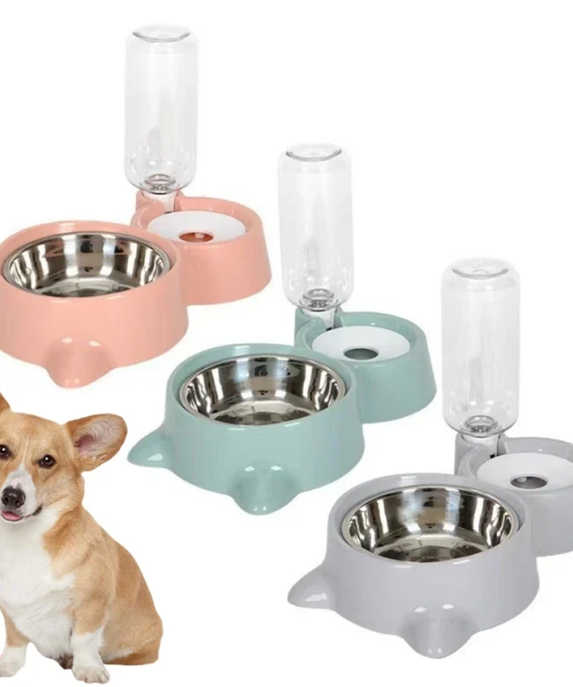 2-in-1 Cat Food & Water Bowl