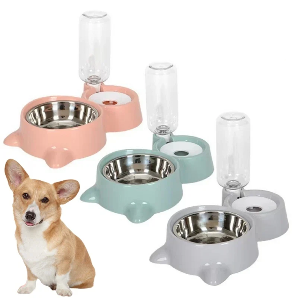 2-in-1 Cat Food & Water Bowl