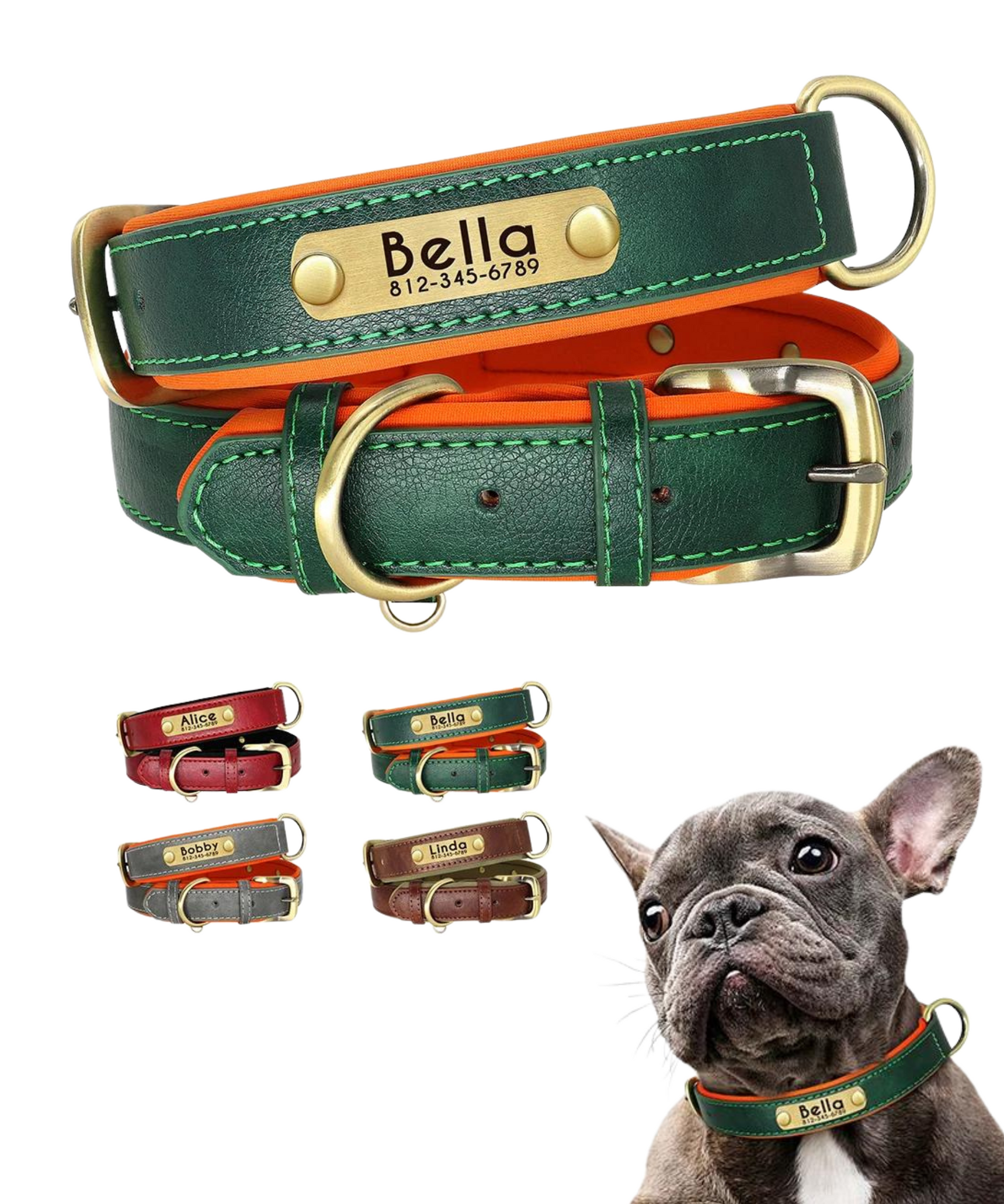 Personalized Nameplate Leather Dog Collar