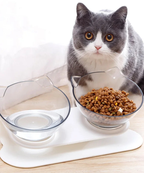 Inclined Double Pet Food Bowl