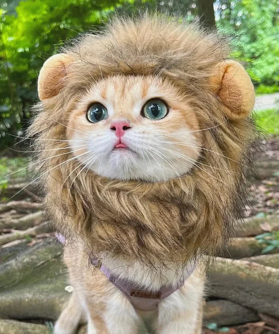 Lion Mane Cat Wig Hat