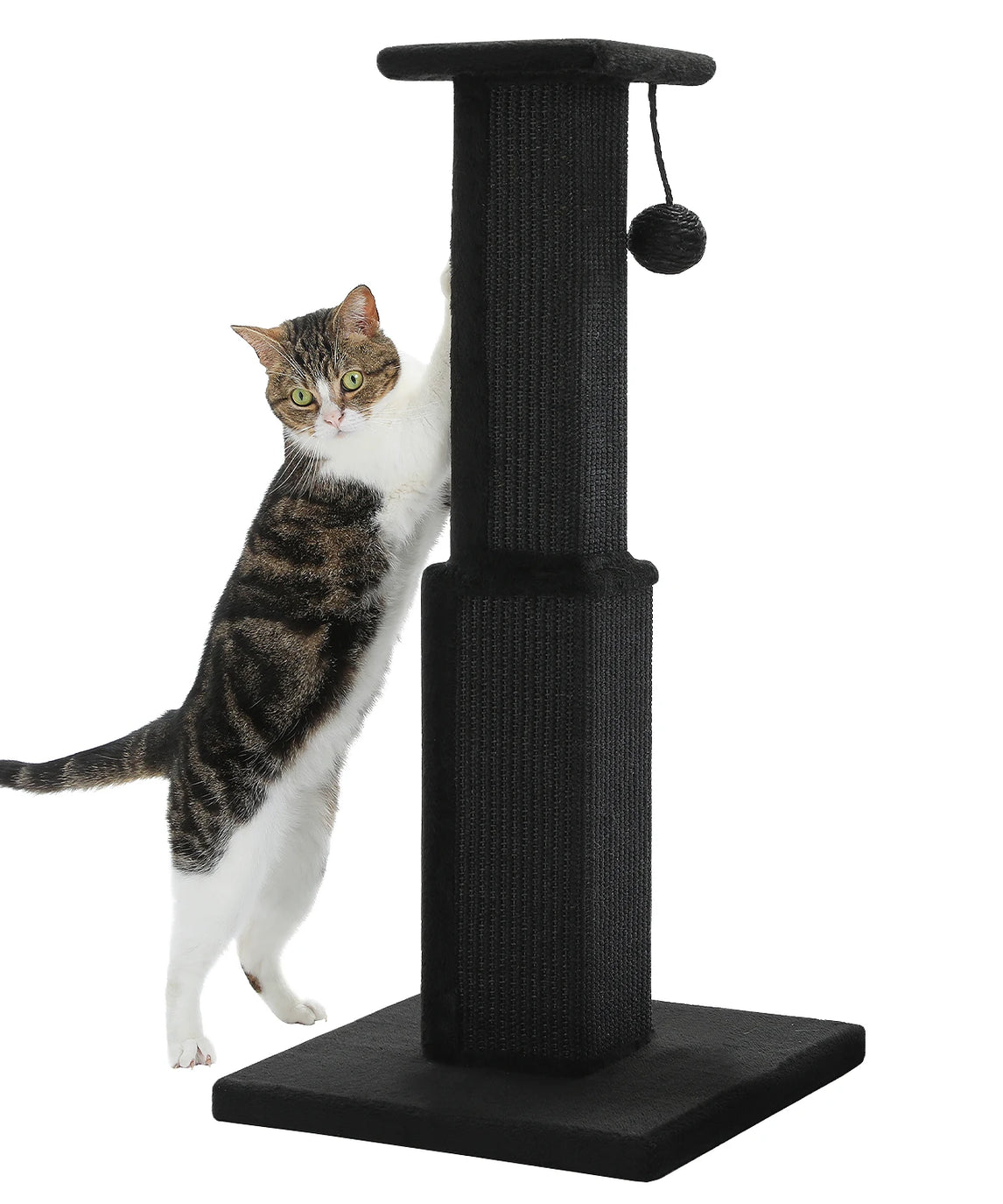 Tall Sisal Cat Scratching Post