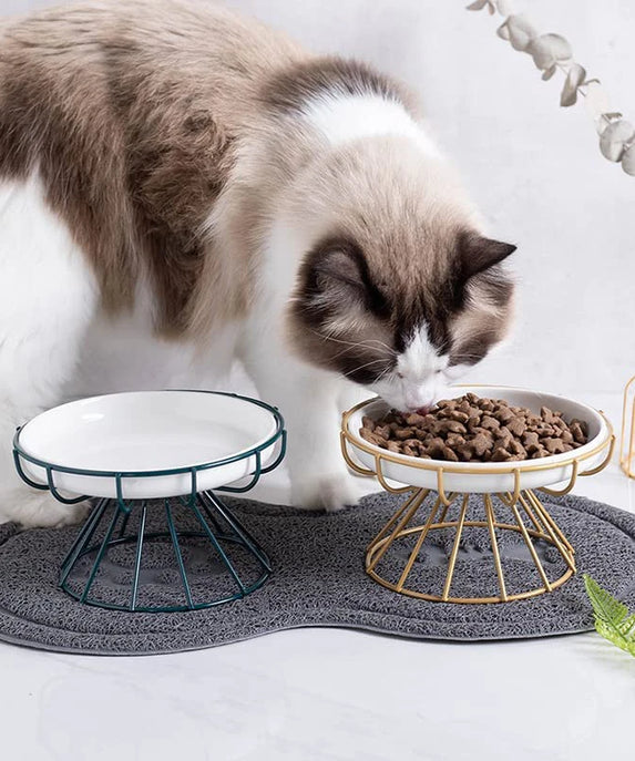 Ceramic Pet Bowl with Rack