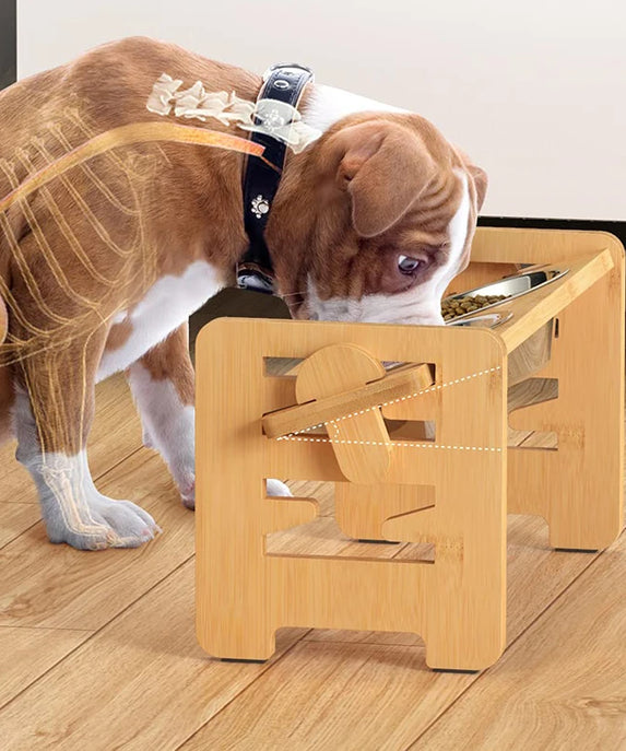 Bamboo Dog Bowls with Stand