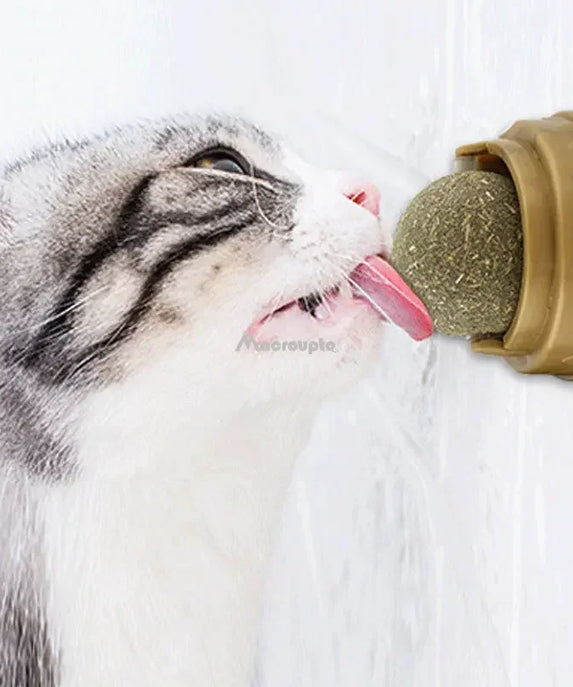 Natural Catnip Wall Ball Toy