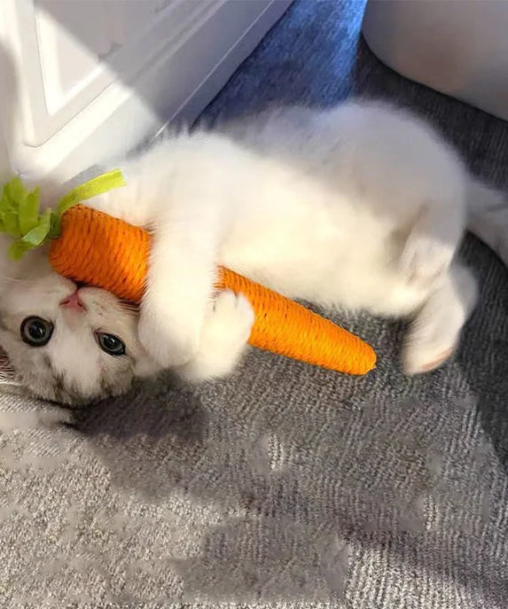 Sound Carrot Cat Teething Toy