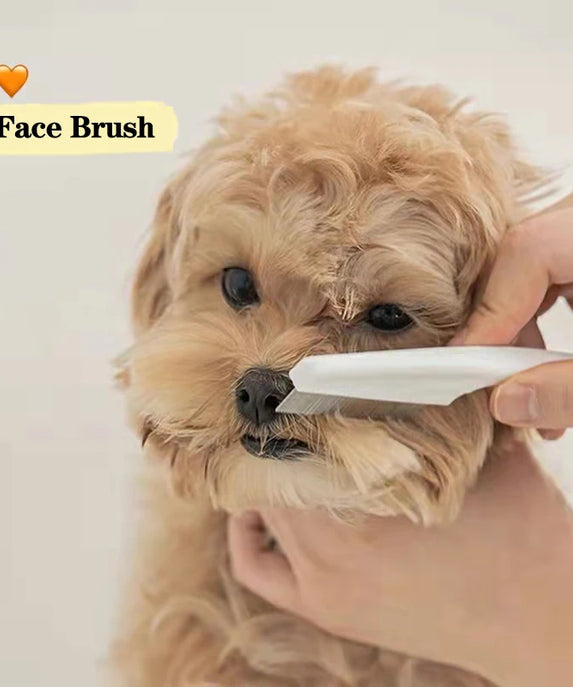 Pet Facial Cleaning Brush Tool