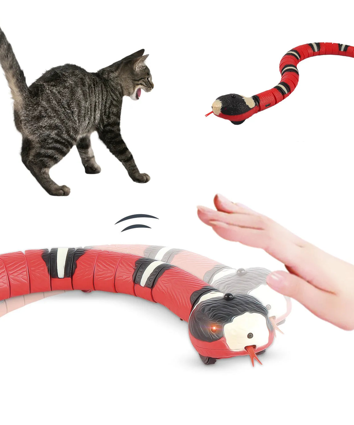 Automatic Interactive Cat Teaser Snake