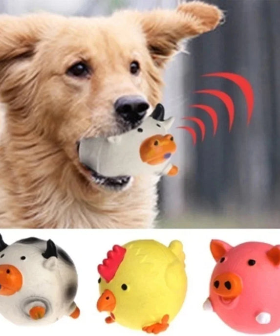 Pet dog vocal toy