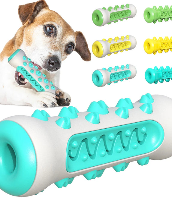 Interactive Dog Toothbrush Chew Toy