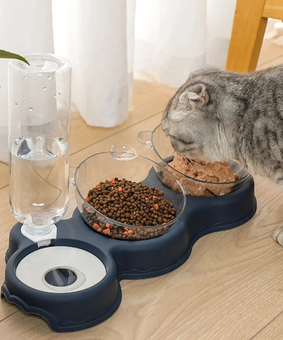 Automatic Cat Feeder and Water Dispenser