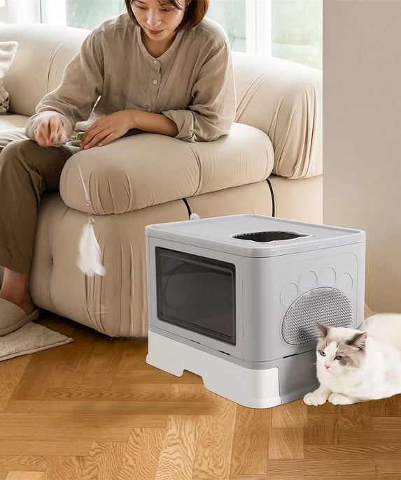 Modern Cat Litter Box Enclosure