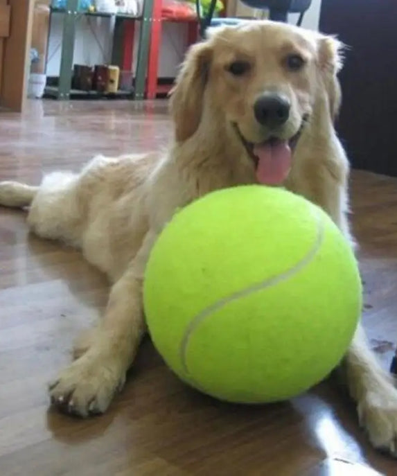 Jumbo Dog Tennis Ball Toy